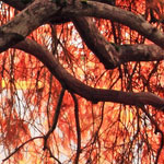 智能进程管理的网站攻击工具手机版