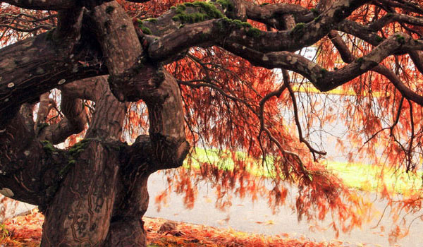 免费ddos在线攻击